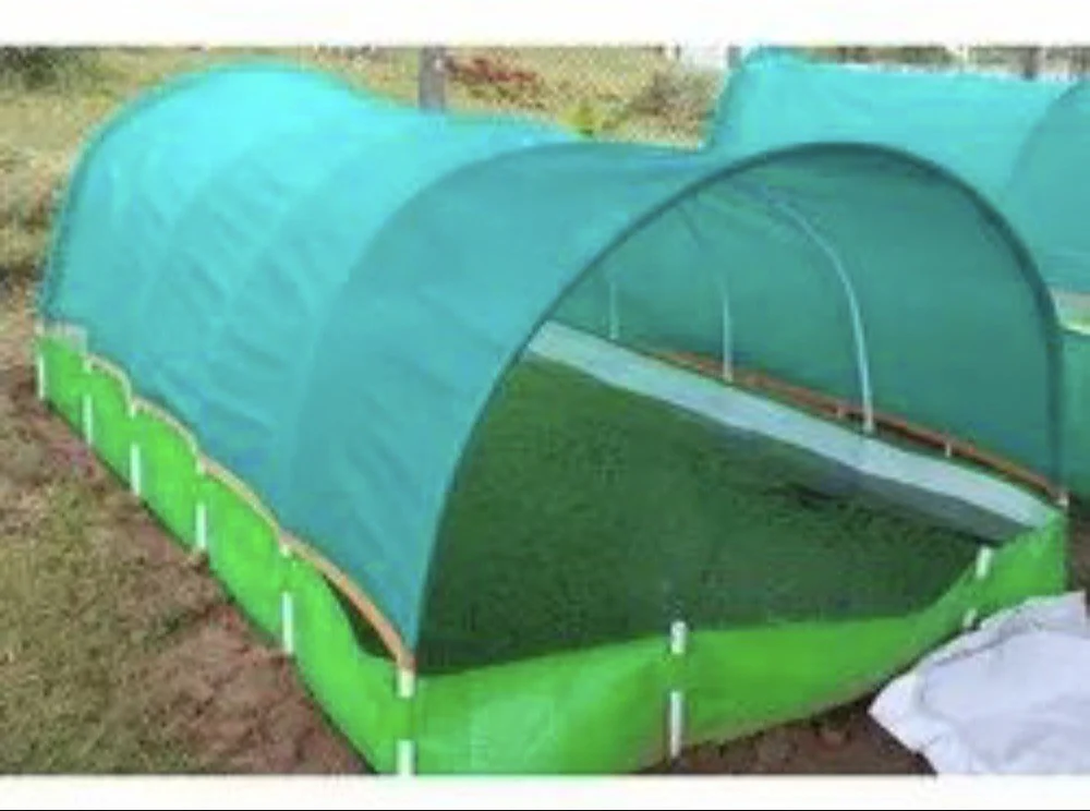 Hdpe 350 Gsm Azolla Cultivation Growing Bed 08X04X01 ft